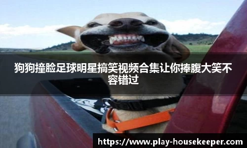 狗狗撞脸足球明星搞笑视频合集让你捧腹大笑不容错过